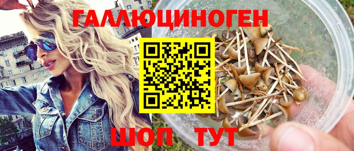 купить наркотики цена  Галлюциногенные грибы Magic Shrooms  Вход с VPN  Галлюциногенные грибы GOLDEN TEACHER  Нововоронеж 